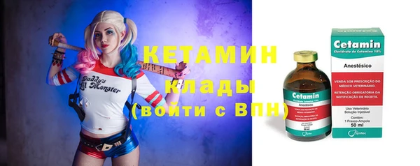 СК Алексин