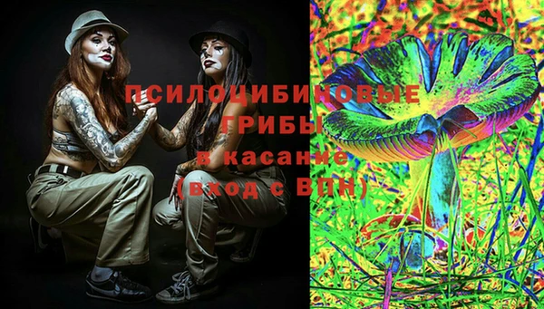СК Алексин