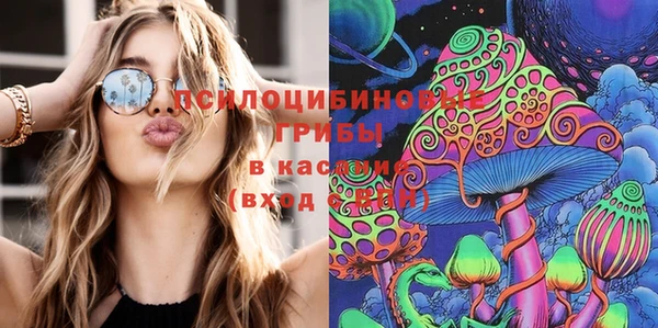спиды Алексеевка