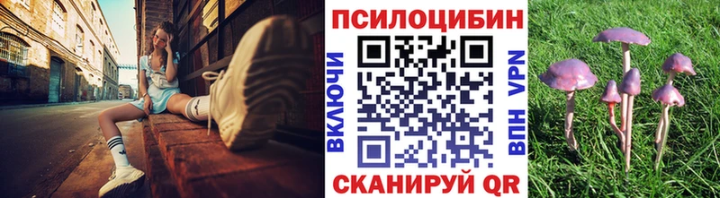 Галлюциногенные грибы MAGIC MUSHROOMS  как найти закладки  Данков 